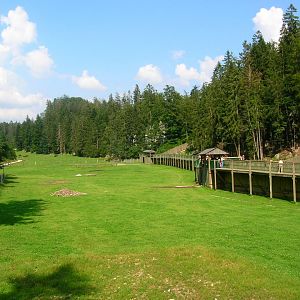 Enclosure for Bison bison