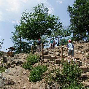Enclosure Capra ibex - Rupicapra rupicapra