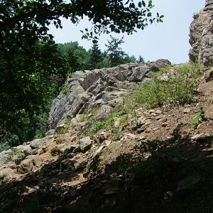 Enclosure Capra ibex - Rupicapra rupicapra