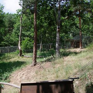 Enclosure Sciurus vulgaris