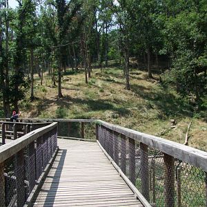 Enclosure Ursus thibetanus