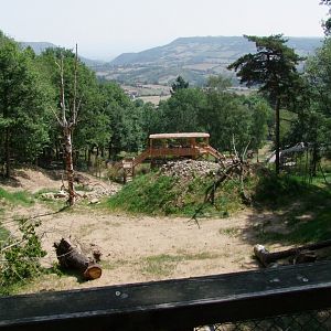 Enclosure Panthera tigris