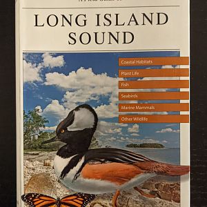 A Field Guide to Long Island Sound