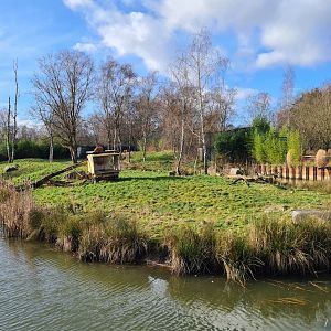 Lion separation enclosure