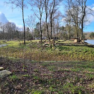 Black rhinoceros enclosure