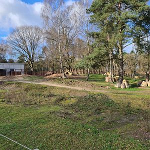 Black rhinoceros enclosure - Side view
