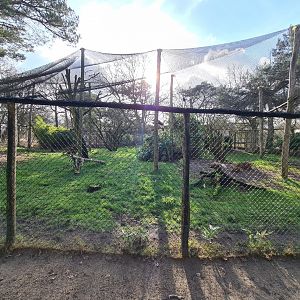 Ground hornbill aviary