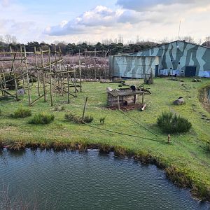 Chimpanzee enclosure - Left side
