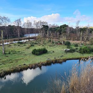 Chimpanzee enclosure - Right side