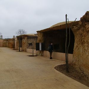 New enclosure of Orycteropus afer