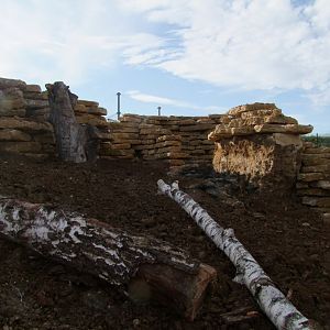 New enclosure of Orycteropus afer