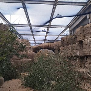 Socorro dove aviary in burgers desert