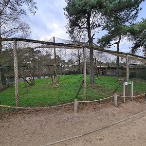 Secretary bird aviary