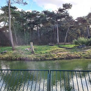 First Siberian tiger enclosure - left side