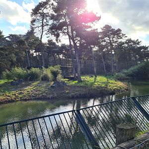 First Siberian tiger enclosure - Right side