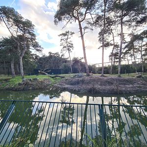 Second Siberian tiger enclosure