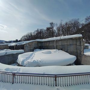 Polar bear old cage at Maruyama Zoo
