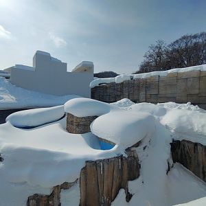 Polar bear old cage at Maruyama Zoo