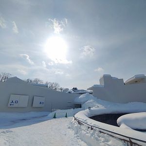 Polar bear new cage at Maruyama Zoo