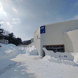 Polar bear new cage at Maruyama Zoo