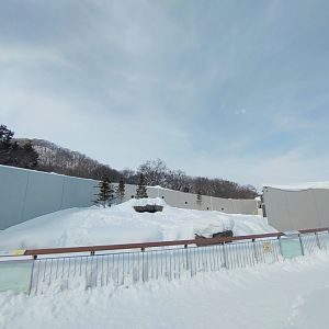 Polar bear new cage at Maruyama Zoo