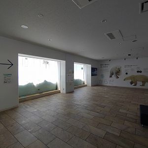 Polar bear new cage at Maruyama Zoo