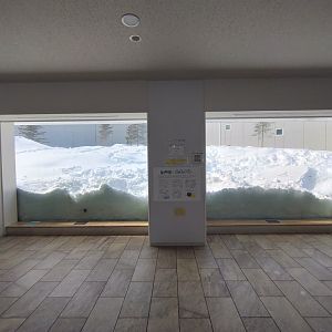 Polar bear new cage at Maruyama Zoo