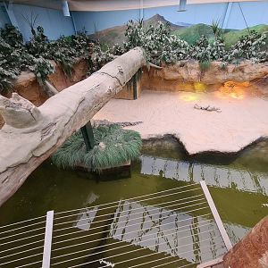 Nile greenhouse - Nile crocodile enclosure