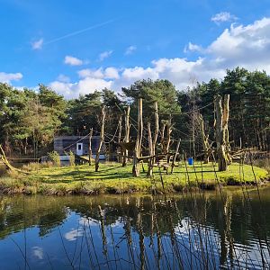 Red ruffed lemur island