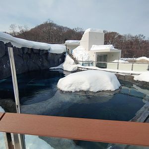 The seal pool in the Polar Bear Pavilion.