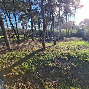 Okapi yard - Second enclosure, Right side