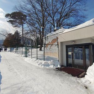 Kangaroo exhibit at Maruyama Zoo