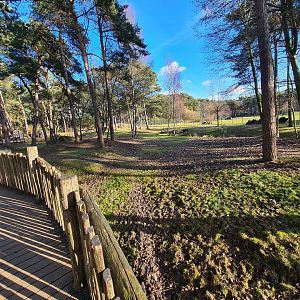 Okapi yard - Second enclosure, left side