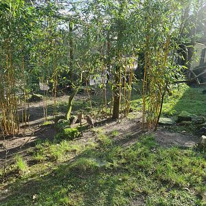 African village - Aviary