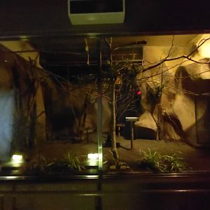 Slow Loris Exhibit at Maruyama Zoo