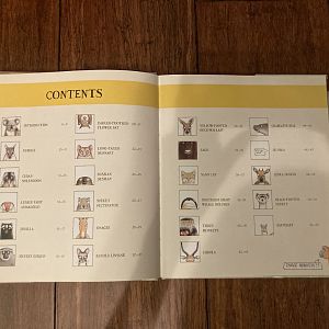 Lesser Spotted Animals