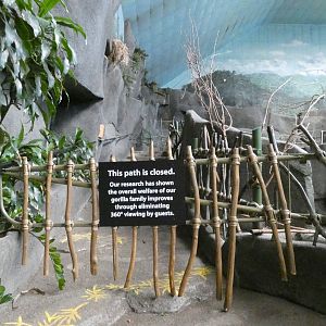 Gorilla 360 Viewing Remains Closed, Africa, Tropic World - Feb. 2022