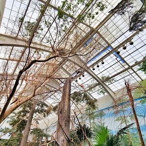 Feb. 2022 - The Swamp - Spoonbill + Others Exhibit