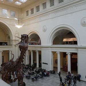 Máximo the Titanosaur, Main Hall - Feb. 2022