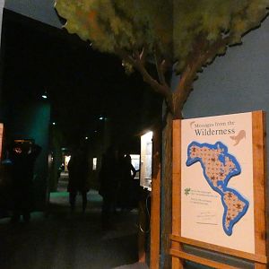 American Wilderness Gallery - Feb. 2022