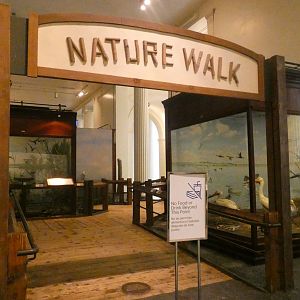 Nature Walk - Feb. 2022