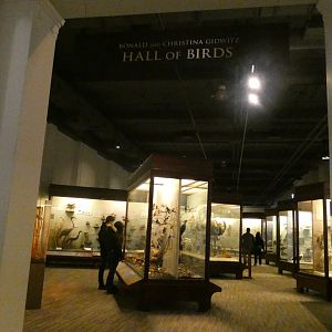 Hall of Birds - Feb. 2022