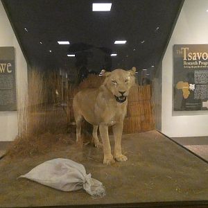 The Man-eater of Mfuwe - Feb. 2022