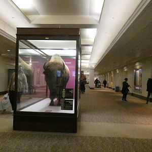 Lower Level Hallway - Feb. 2022