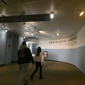 Underground Adventure - Feb. 2022