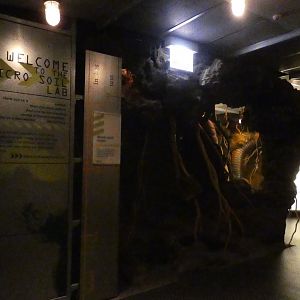 Underground Adventure - Feb. 2022