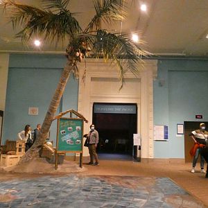 Traveling the Pacific - Feb. 2022