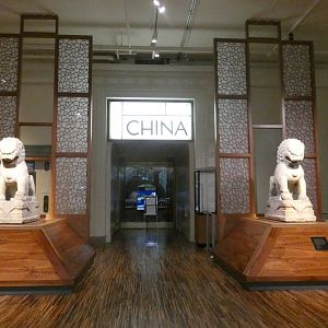 China Gallery - Feb. 2022
