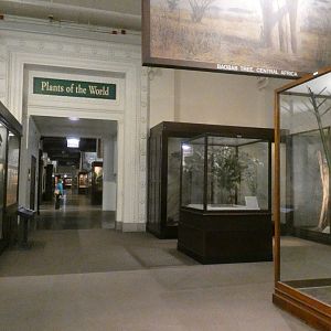 Hall of Plants - Feb. 2022