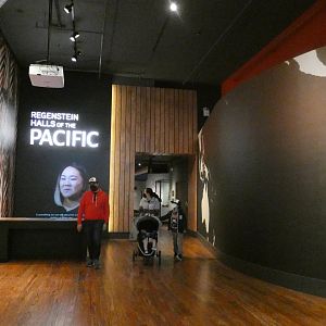 Halls of the Pacific - Feb. 2022
